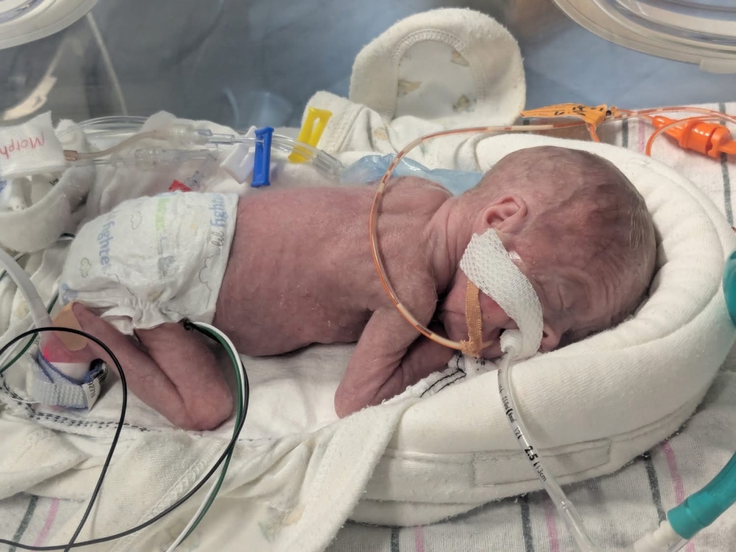 IMG_5832 Hastings 2025